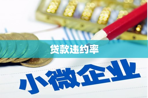 宁江贷款违约率