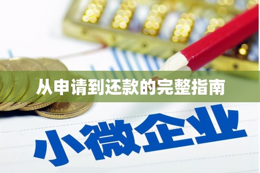 宁江从申请到还款的完整指南