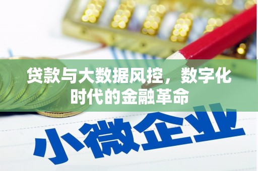 宁江贷款与大数据风控，数字化时代的金融革命