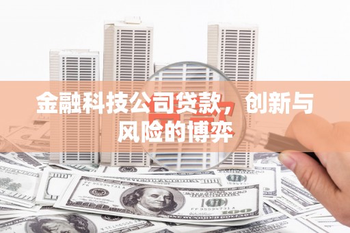 宁江金融科技公司贷款，创新与风险的博弈