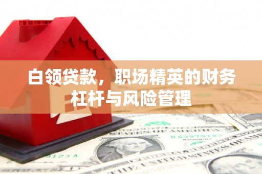 宁江白领贷款，职场精英的财务杠杆与风险管理