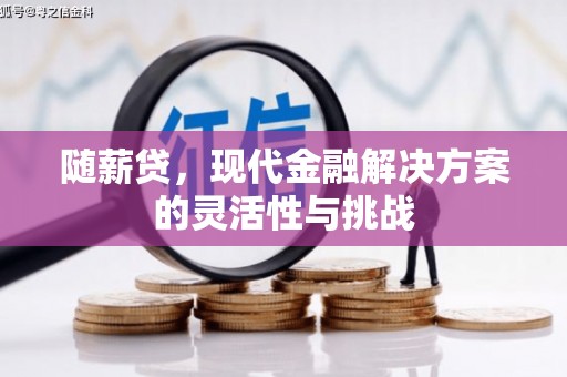 宁江随薪贷，现代金融解决方案的灵活性与挑战