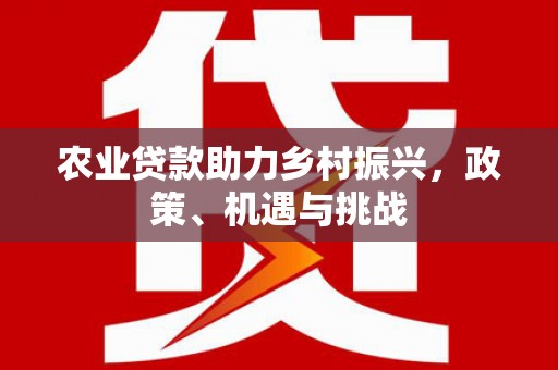 宁江农业贷款助力乡村振兴，政策、机遇与挑战