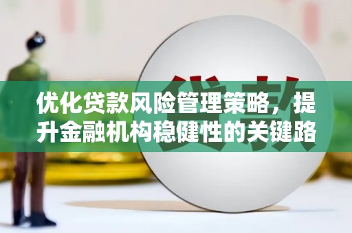 宁江优化贷款风险管理策略，提升金融机构稳健性的关键路径