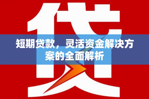 宁江短期贷款，灵活资金解决方案的全面解析