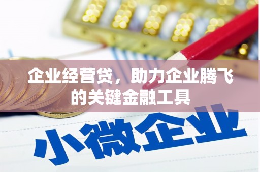 宁江企业经营贷，助力企业腾飞的关键金融工具