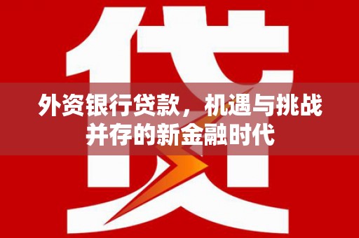宁江外资银行贷款，机遇与挑战并存的新金融时代