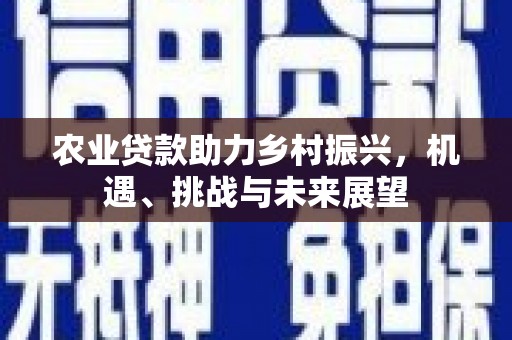 宁江农业贷款助力乡村振兴，机遇、挑战与未来展望