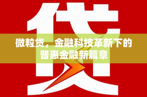 宁江微粒贷，金融科技革新下的普惠金融新篇章