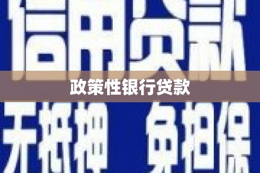宁江政策性银行贷款
