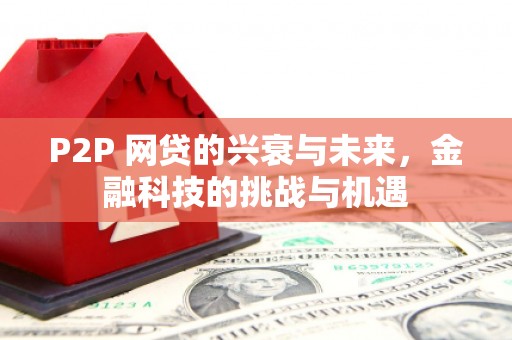 宁江P2P 网贷的兴衰与未来，金融科技的挑战与机遇