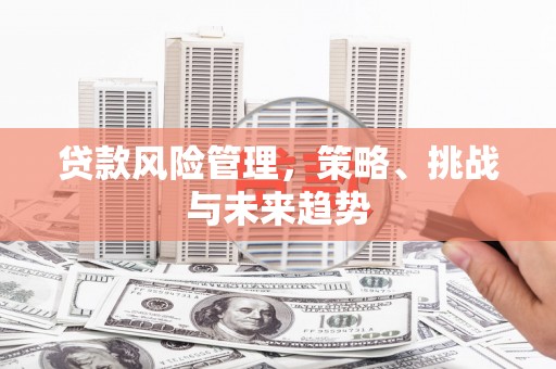 宁江贷款风险管理，策略、挑战与未来趋势