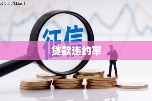 宁江贷款违约率