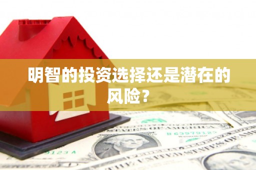 宁江明智的投资选择还是潜在的风险？