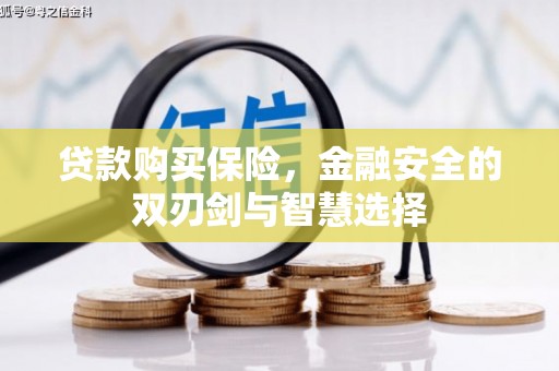 宁江贷款购买保险，金融安全的双刃剑与智慧选择