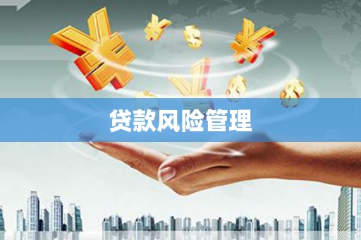 宁江贷款风险管理