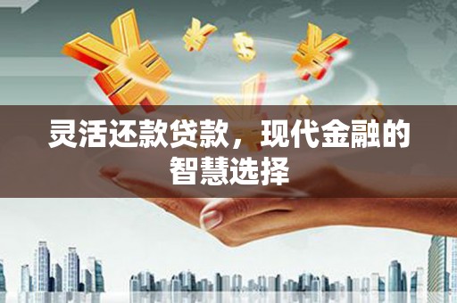 宁江灵活还款贷款，现代金融的智慧选择