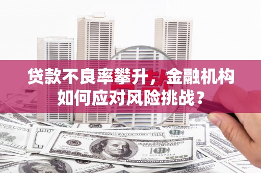 宁江贷款不良率攀升，金融机构如何应对风险挑战？