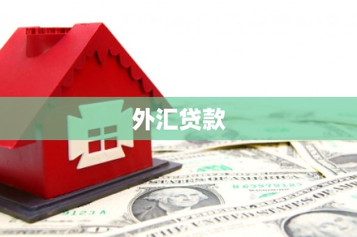 宁江外汇贷款