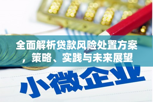 宁江全面解析贷款风险处置方案，策略、实践与未来展望