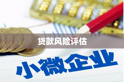 宁江贷款风险评估