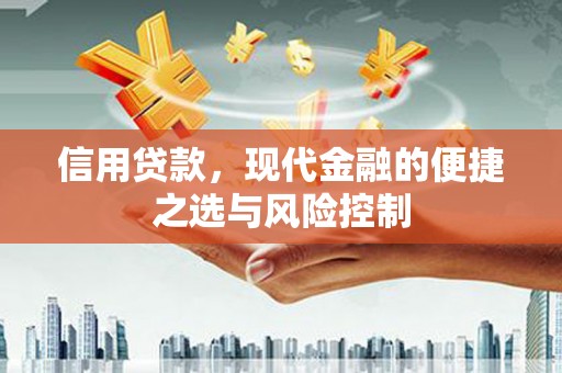宁江信用贷款，现代金融的便捷之选与风险控制