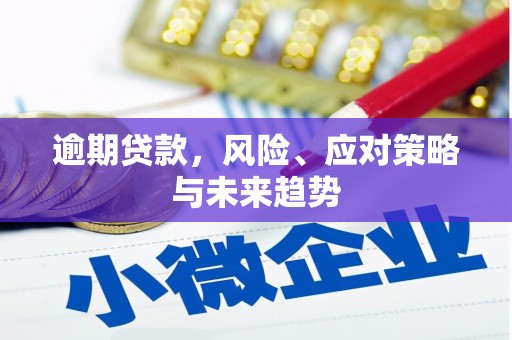 宁江逾期贷款，风险、应对策略与未来趋势