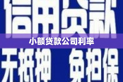 宁江小额贷款公司利率