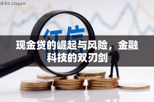 宁江现金贷的崛起与风险，金融科技的双刃剑