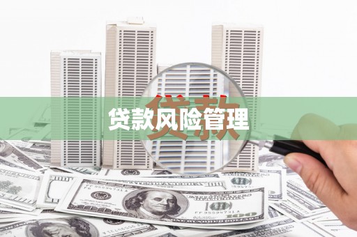 宁江贷款风险管理