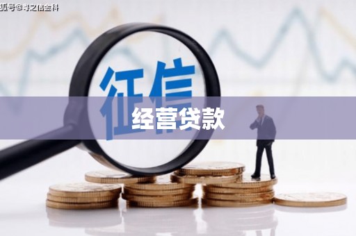 宁江经营贷款