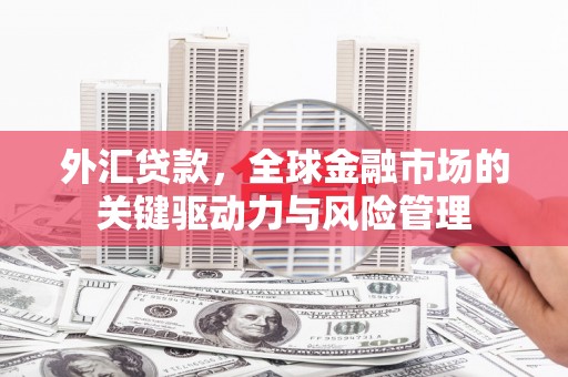 宁江外汇贷款，全球金融市场的关键驱动力与风险管理