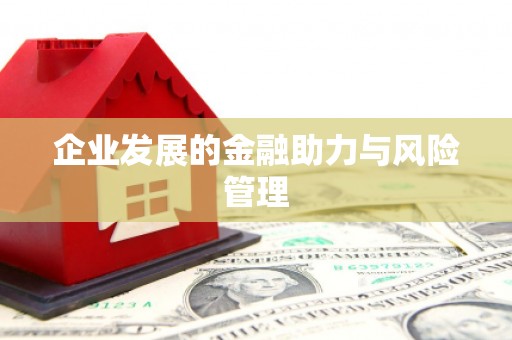 宁江企业发展的金融助力与风险管理