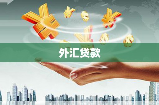 宁江外汇贷款