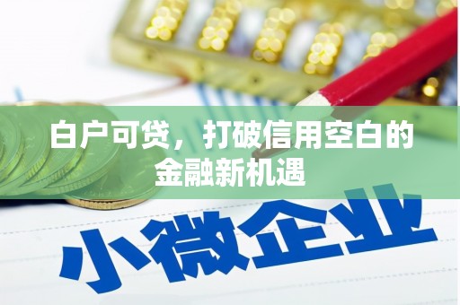 宁江白户可贷，打破信用空白的金融新机遇
