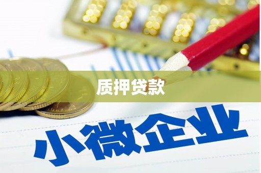 宁江质押贷款