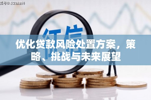 宁江优化贷款风险处置方案，策略、挑战与未来展望