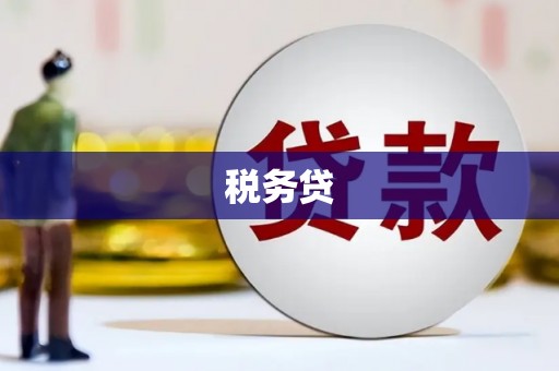 宁江税务贷