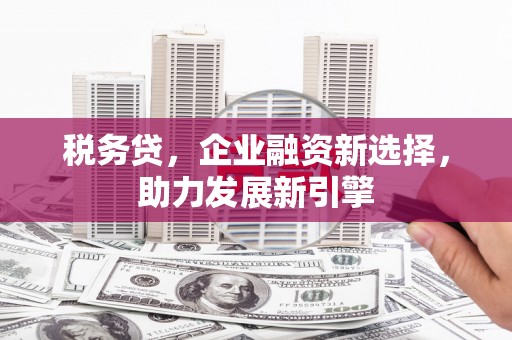 宁江税务贷，企业融资新选择，助力发展新引擎