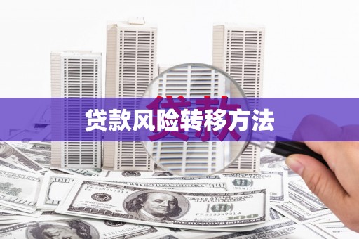 宁江贷款风险转移方法