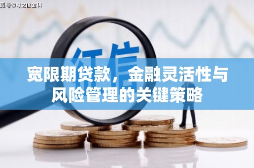 宁江宽限期贷款，金融灵活性与风险管理的关键策略