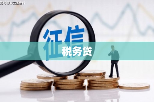 宁江税务贷