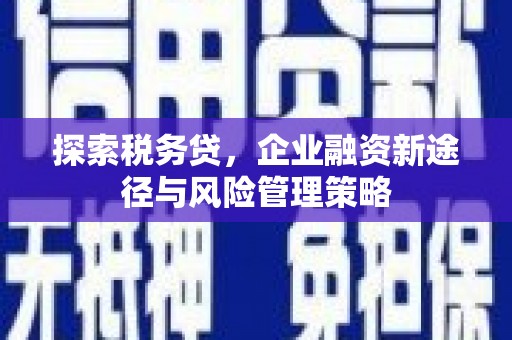 宁江探索税务贷，企业融资新途径与风险管理策略