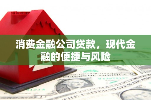 宁江消费金融公司贷款，现代金融的便捷与风险