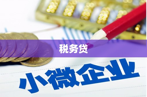 宁江税务贷