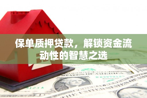 宁江保单质押贷款，解锁资金流动性的智慧之选