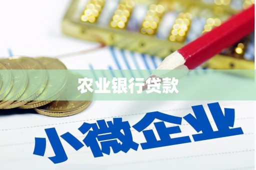 宁江农业银行贷款