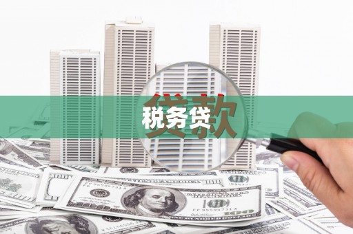 宁江税务贷