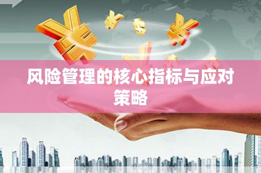宁江风险管理的核心指标与应对策略