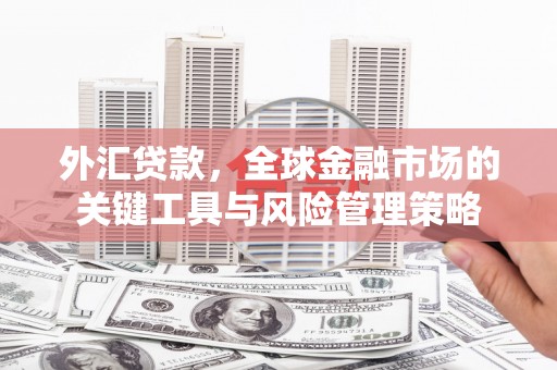 宁江外汇贷款，全球金融市场的关键工具与风险管理策略